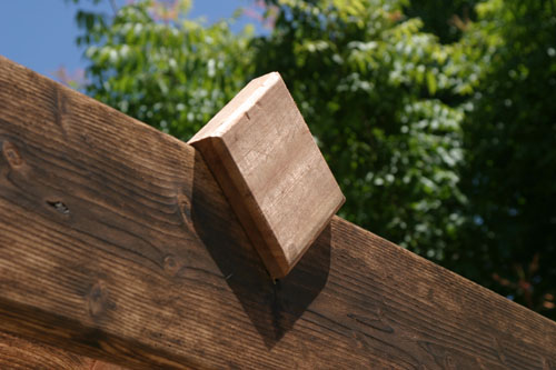detail1